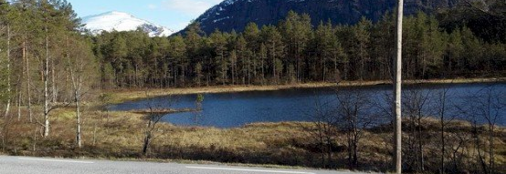 Nærløp Bulingstjørna 8/5 - med resultat